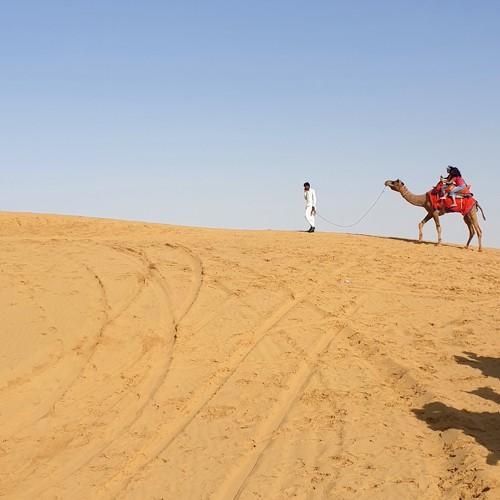 Photo #4116453
