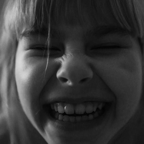 Photo #4116631