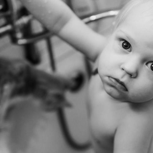 Photo #4116666