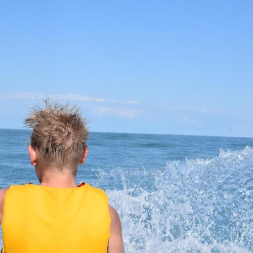 Photo #4117112