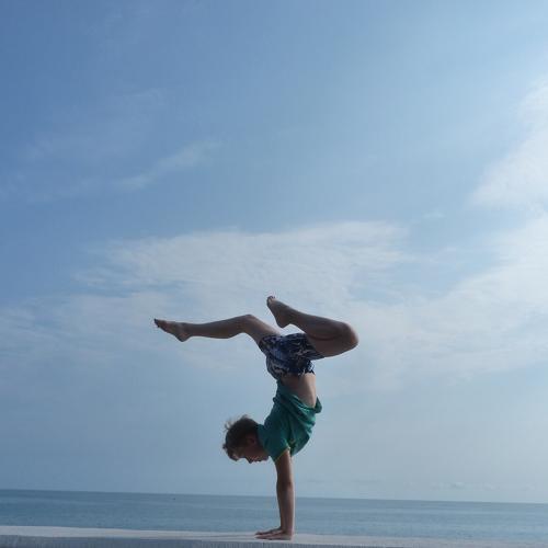 Photo #4117124