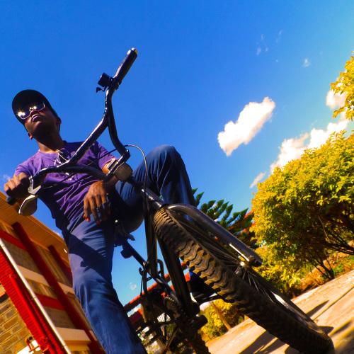 Photo #4117281