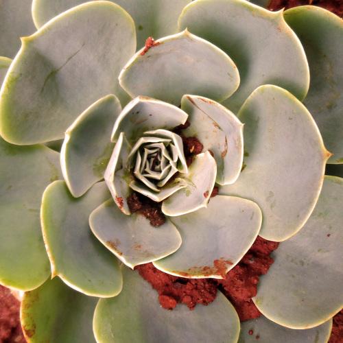 Photo #4117349