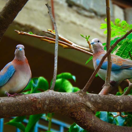 Photo #4117356