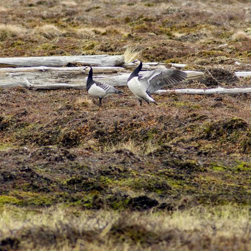Photo #4117926