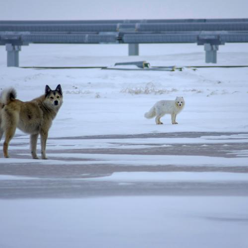 Photo #4117945