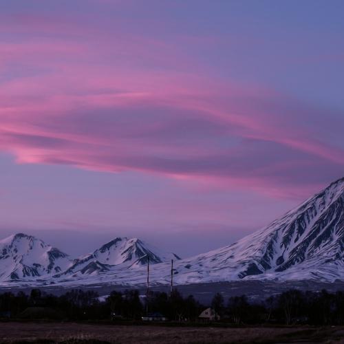 Photo #4118108