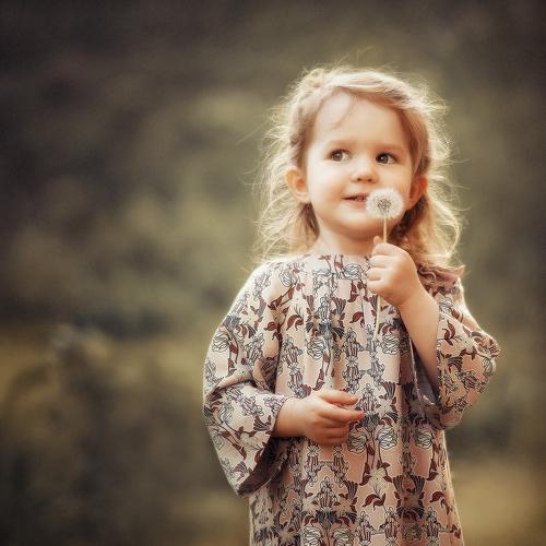 Photo #4118817