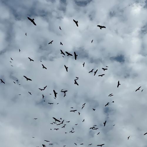 Photo #4119118