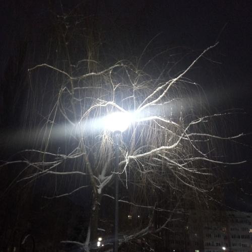 Photo #4119330