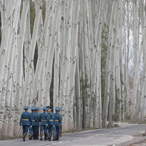 Guards of Honour