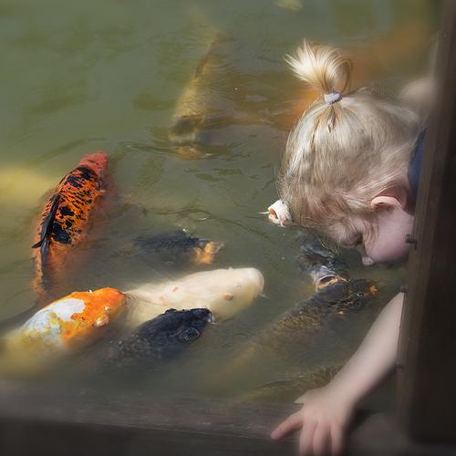Photo #4120974