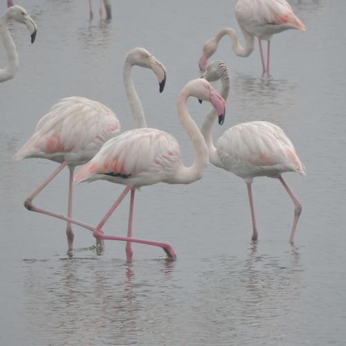 Photo #4121269