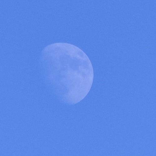 Moon day