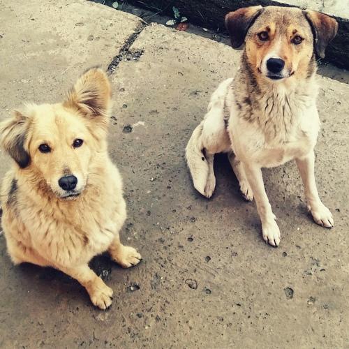 Photo #4121832