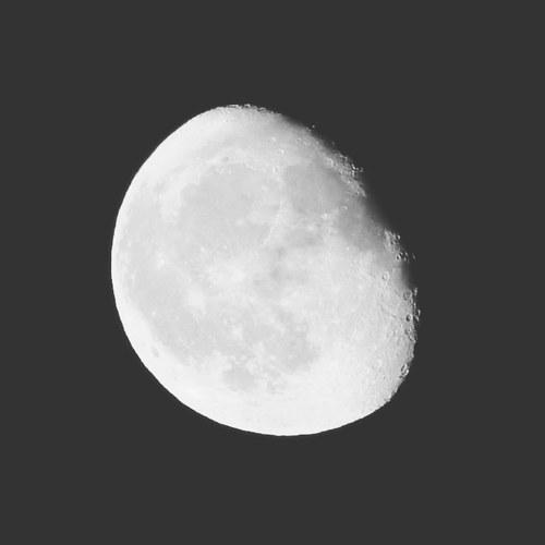 Night moon