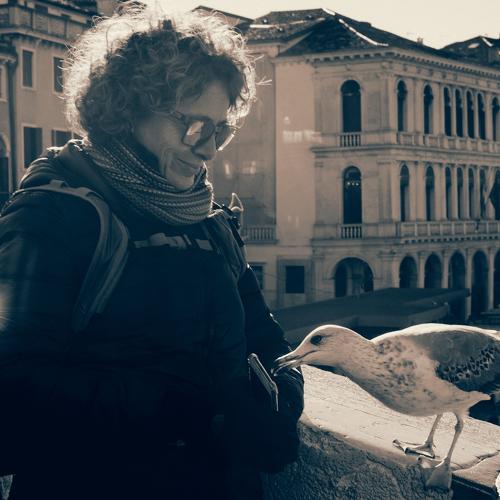 Photo #4122038