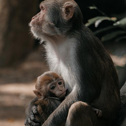 Photo #4122278