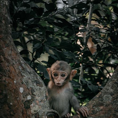 Photo #4122280