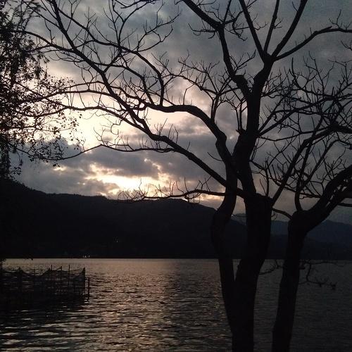 Evening at lake
