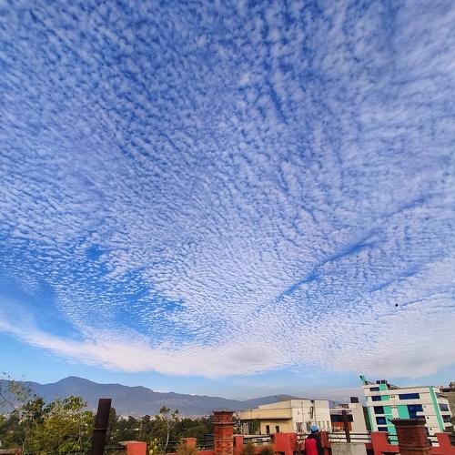 Photo #4124313