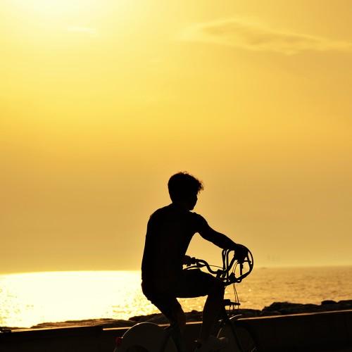 Photo #4124861
