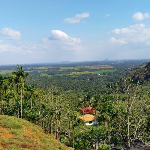 Hills view