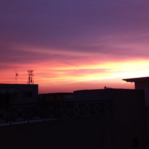 Photo #4125162
