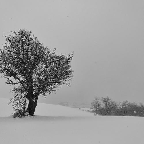 Photo #4125802
