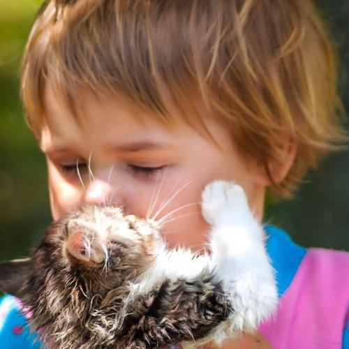 Photo #4126126