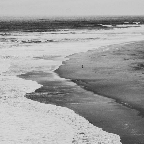 Photo #4126520