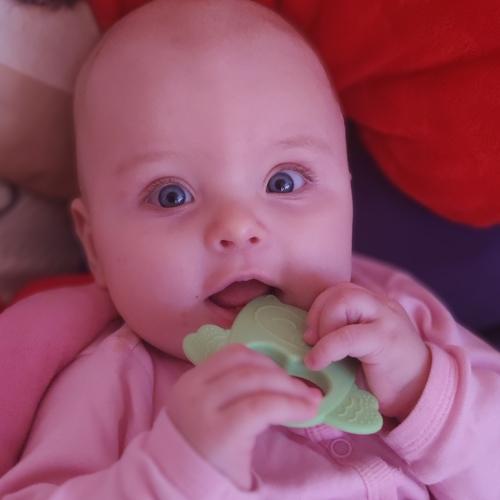 Photo #4126623