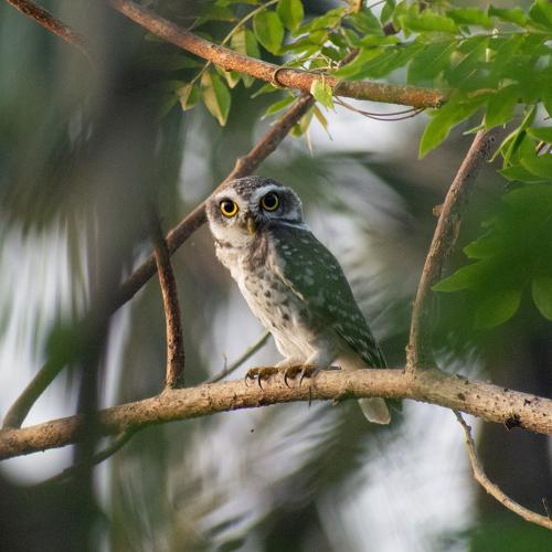 Photo #4126698