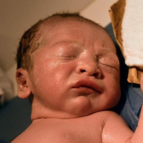 Photo #4126877