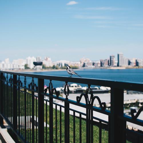 Photo #4127473