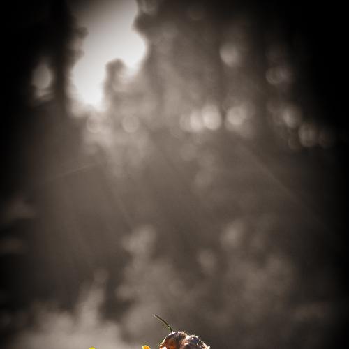 Photo #4127565