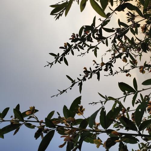 Photo #4128285