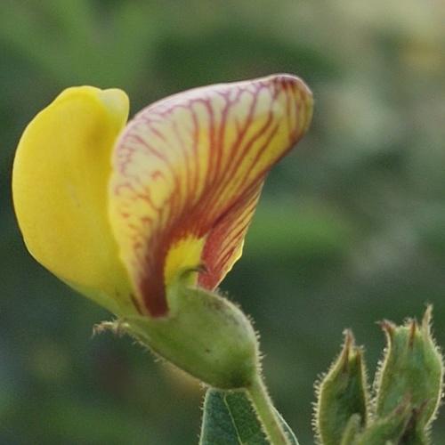 Photo #4128513