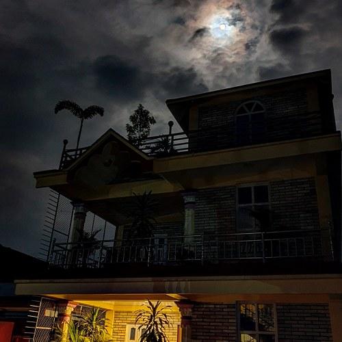 Photo #4128633