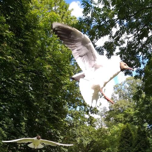 Photo #4129043