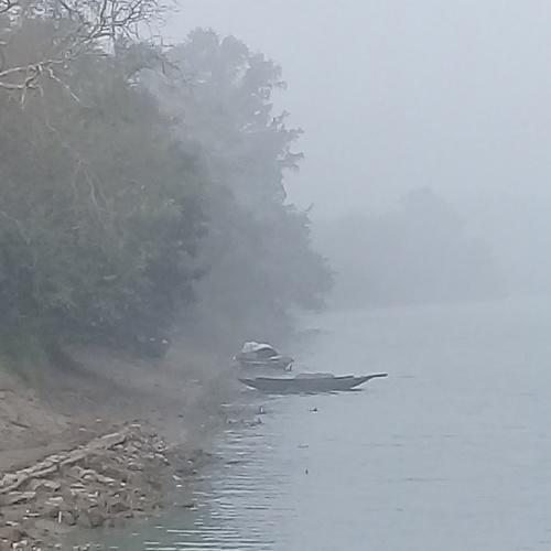 Photo #4129648