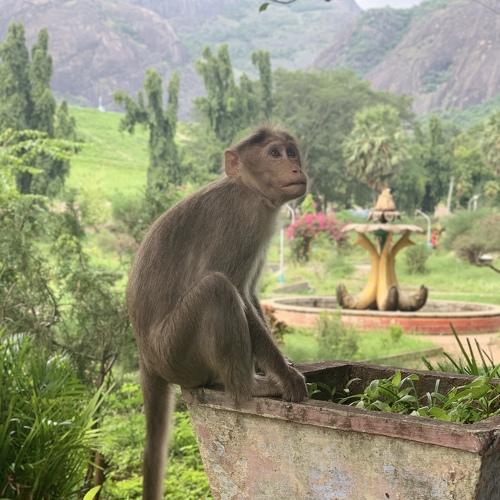 Photo #4129735
