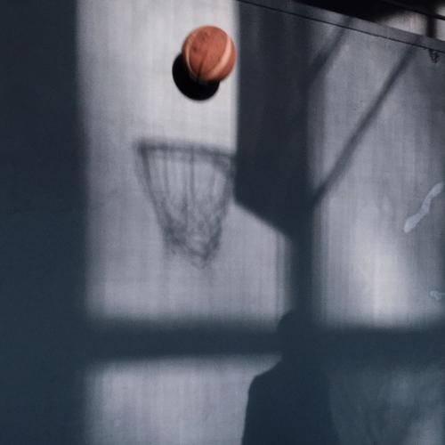 Photo #4130031
