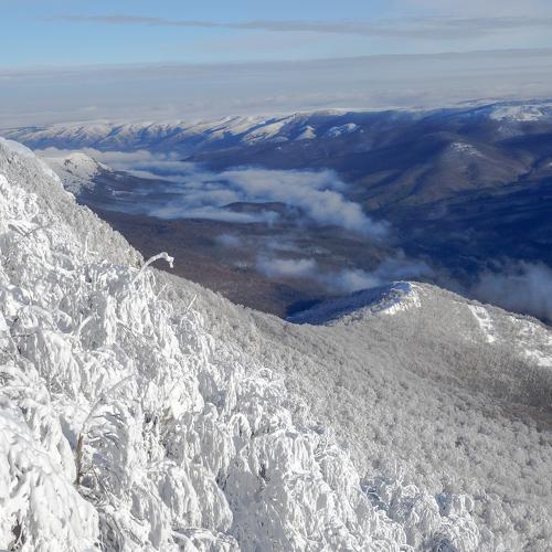 Photo #4130098