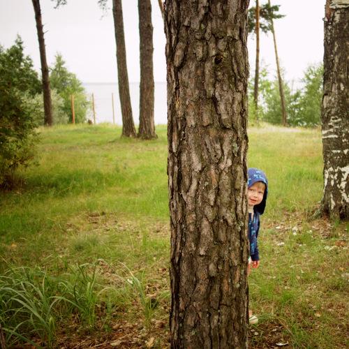 Photo #4130232