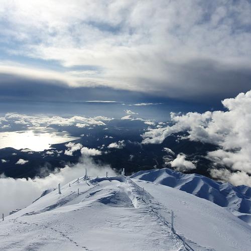 Photo #4130440