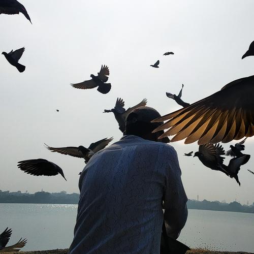 Photo #4130525