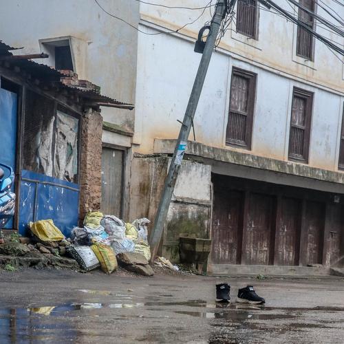Photo #4130645
