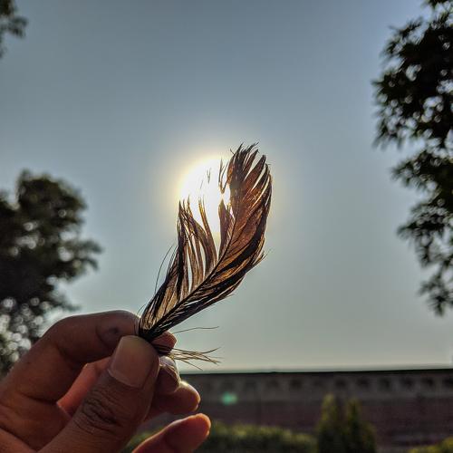 Photo #4130649
