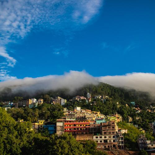 Photo #4130655